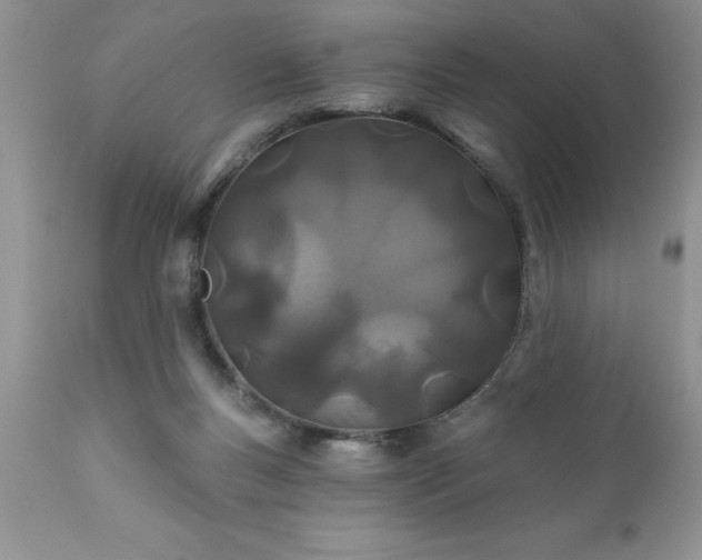 X0000111790167200907301153