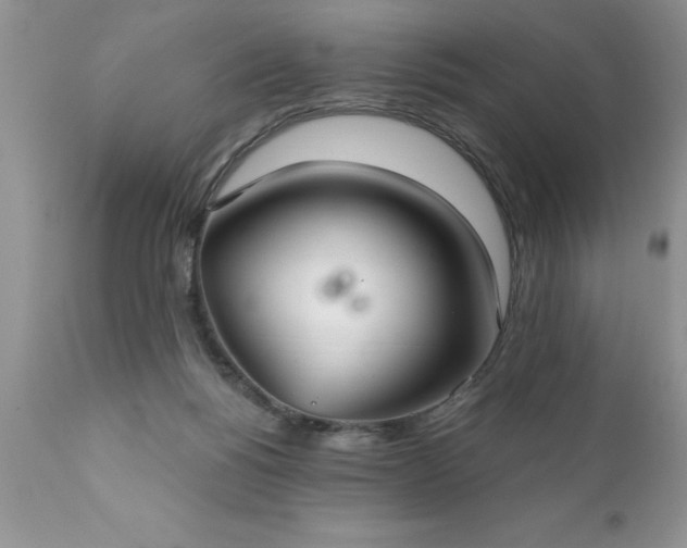 X0000111790168200907301153