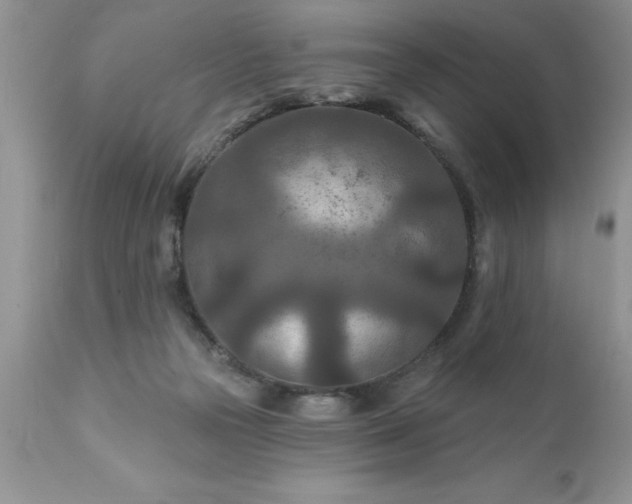 X0000111790169200907301153