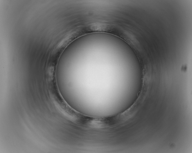 X0000111790171200907301153