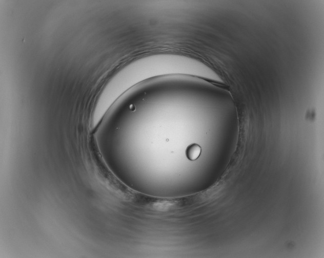 X0000111790172200907301153