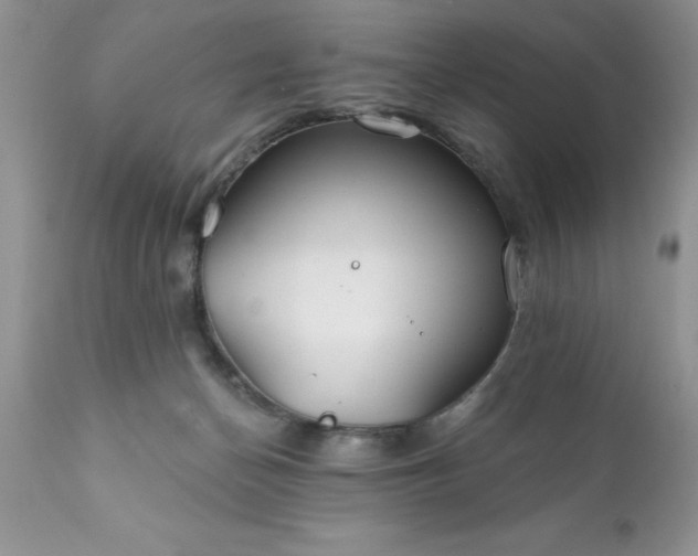 X0000111790174200907301154