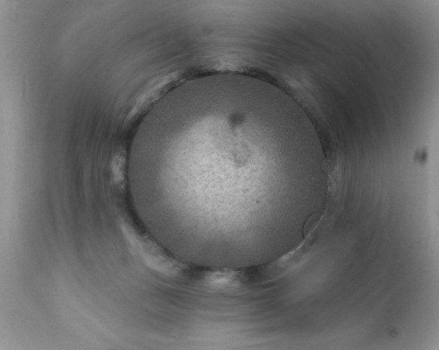 X0000111790175200907301154