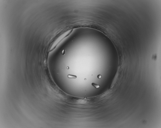 X0000111790176200907301154