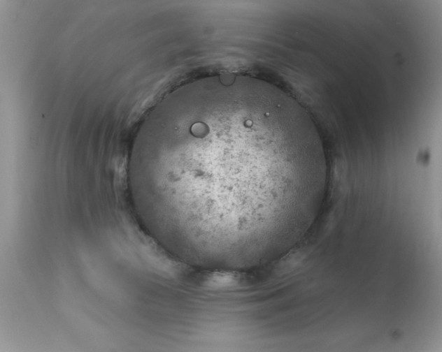 X0000111790177200907301154