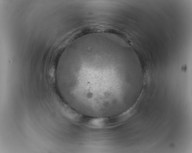 X0000111790178200907301154