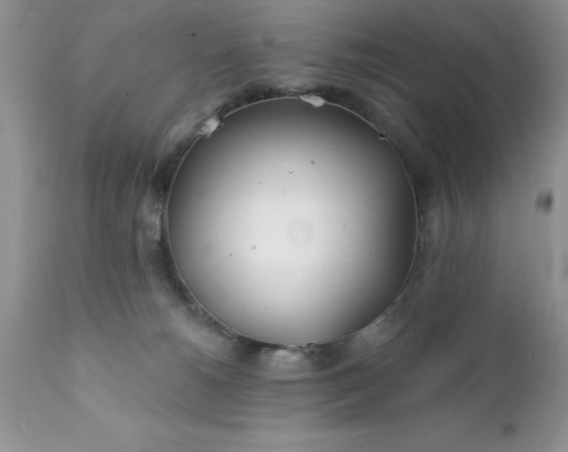 X0000111790180200907301154