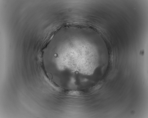 X0000111790181200907301154