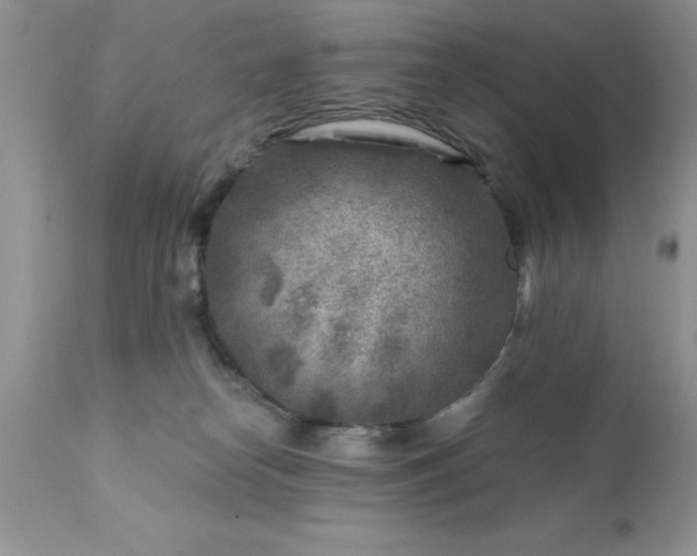 X0000111790182200907301154