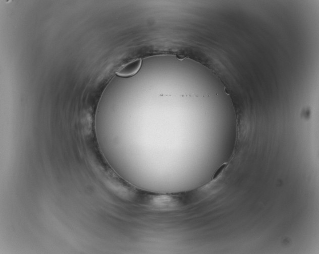 X0000111790183200907301154