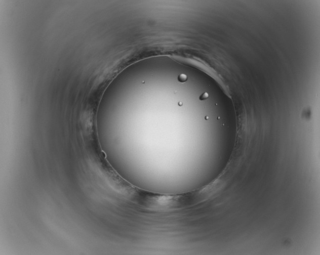 X0000111790184200907301154