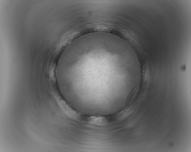 X0000111790185200907301154