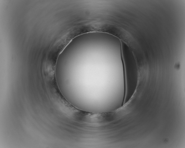 X0000111790186200907301154