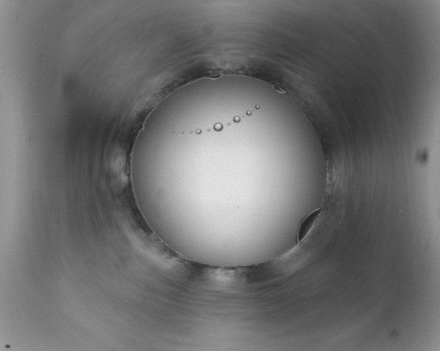 X0000111790187200907301154