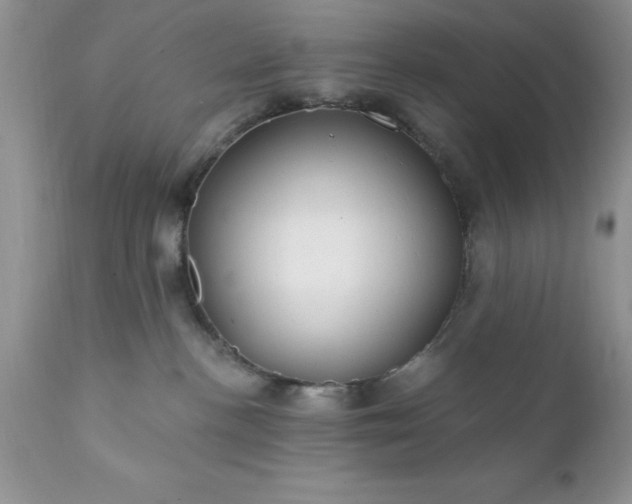 X0000111790188200907301154