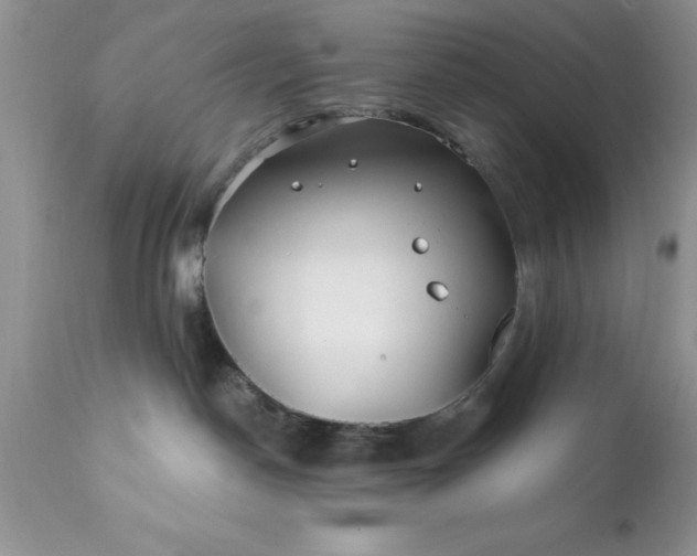 X0000111790190200907301154