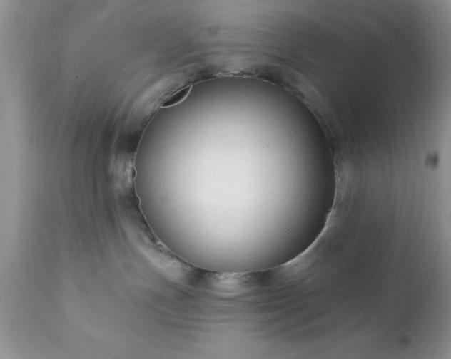 X0000111790191200907301154