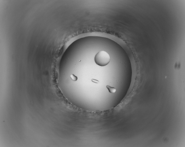 X0000111790192200907301154