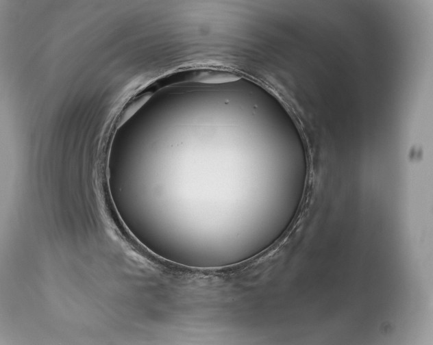 X0000111790193200907301153