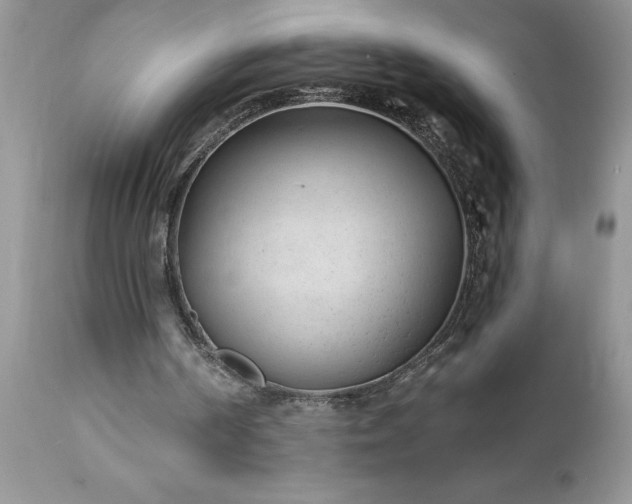 X0000111790194200907301153