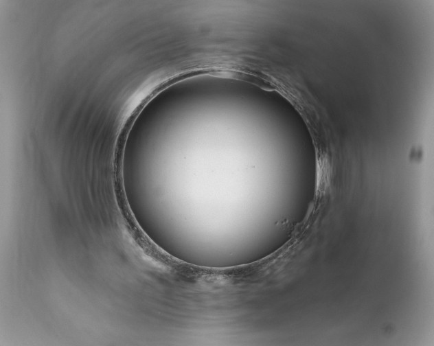 X0000111790195200907301153