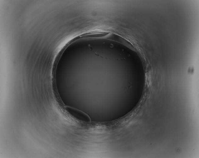 X0000111790196200907301153