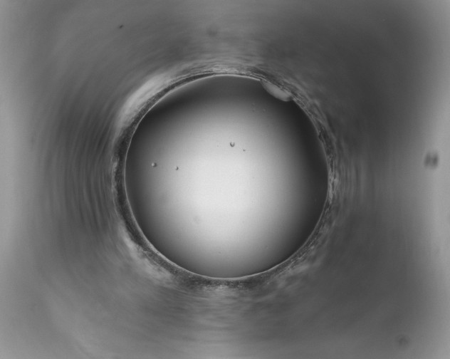 X0000111790197200907301153