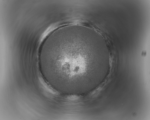 X0000111790198200907301153