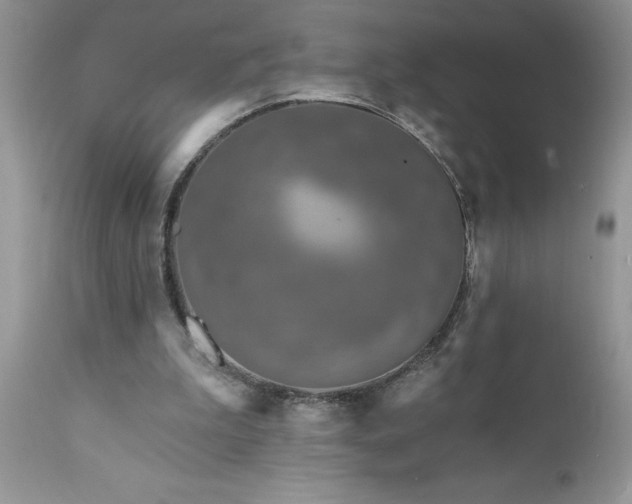 X0000111790199200907301153