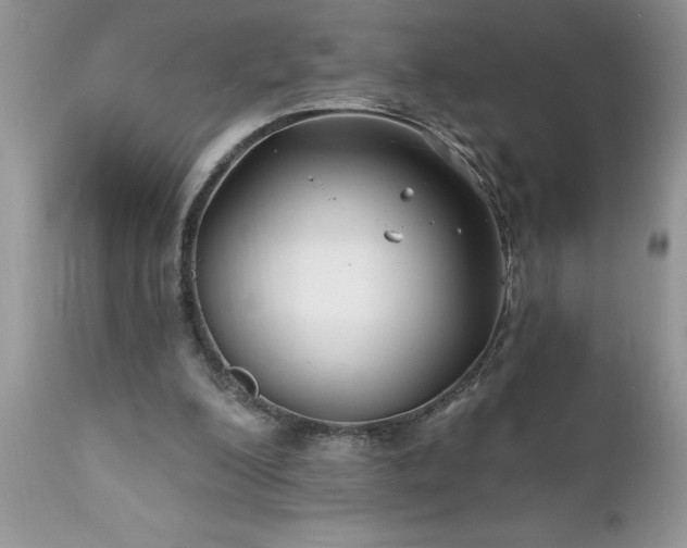 X0000111790200200907301153