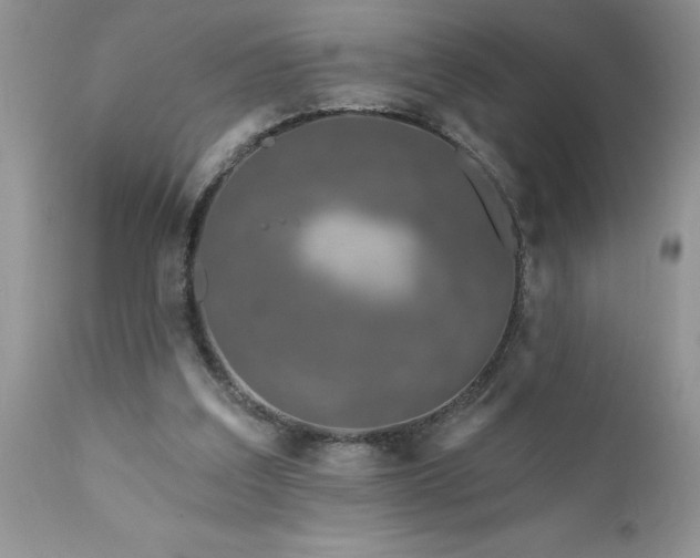 X0000111790203200907301153