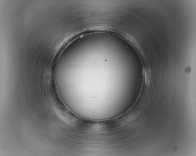 X0000111790204200907301153