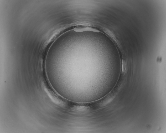 X0000111790205200907301153