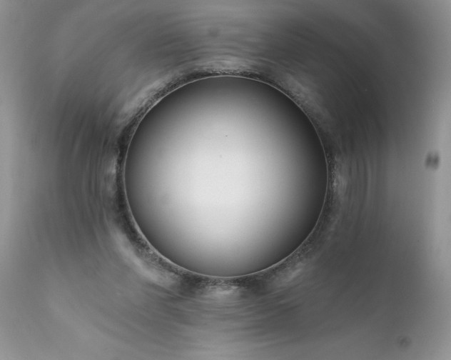 X0000111790206200907301153