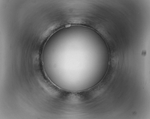 X0000111790207200907301153