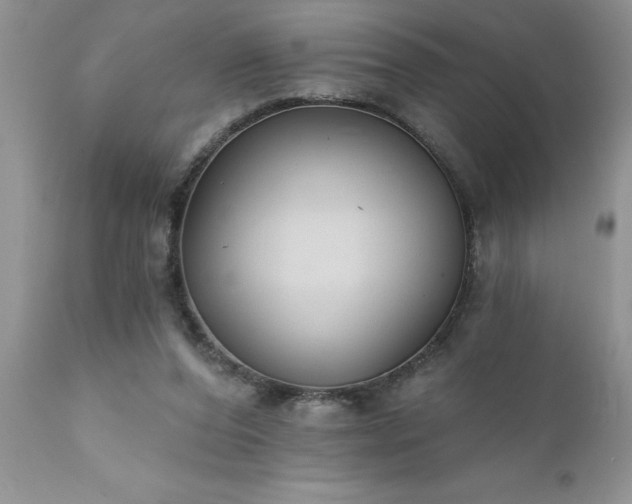 X0000111790208200907301153