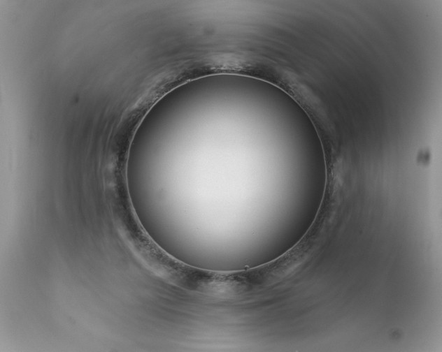 X0000111790209200907301153