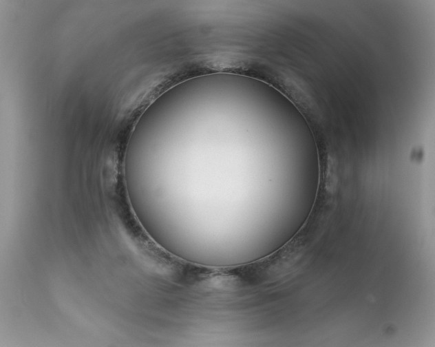 X0000111790210200907301153