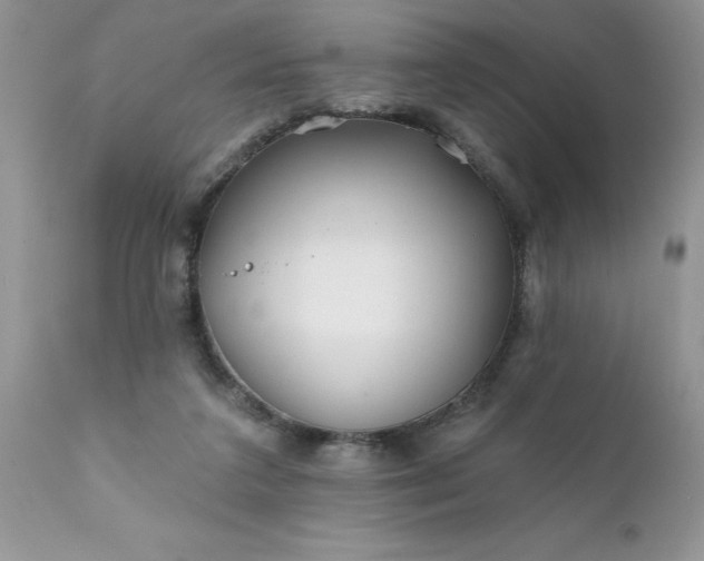 X0000111790211200907301153