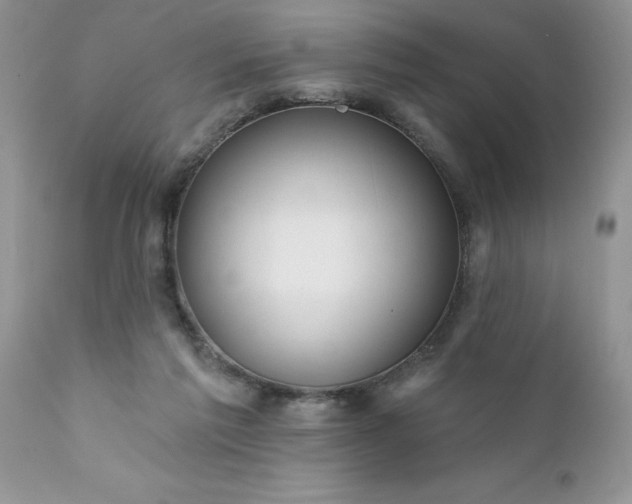 X0000111790213200907301153