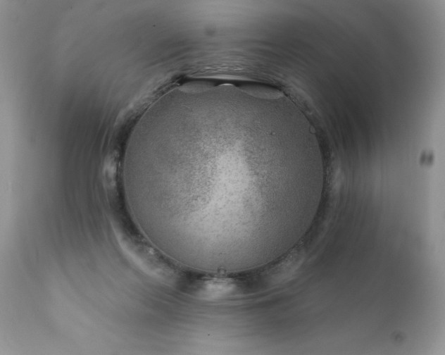 X0000111790214200907301153