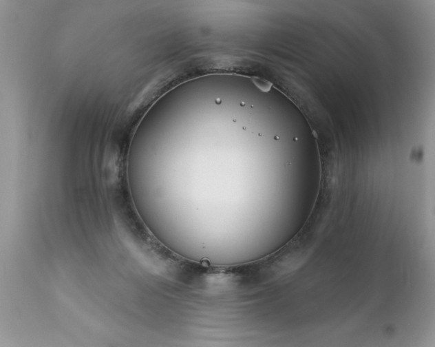 X0000111790216200907301153