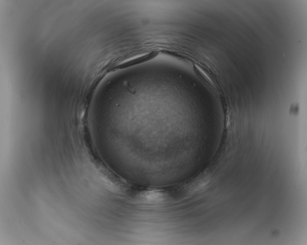 X0000111790219200907301153