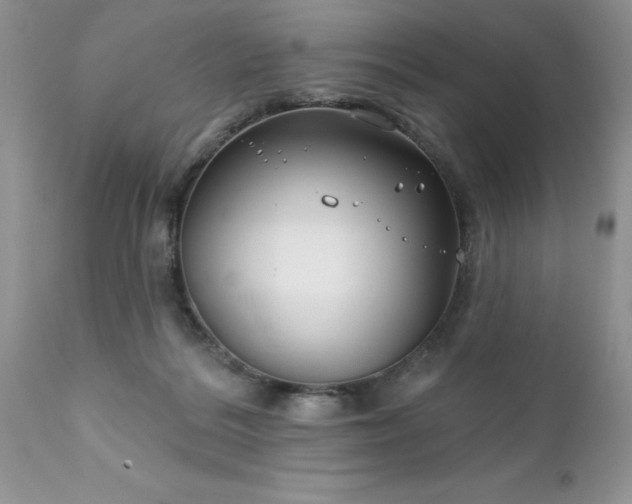 X0000111790220200907301153