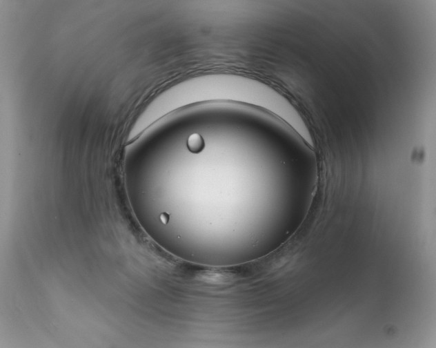 X0000111790221200907301153