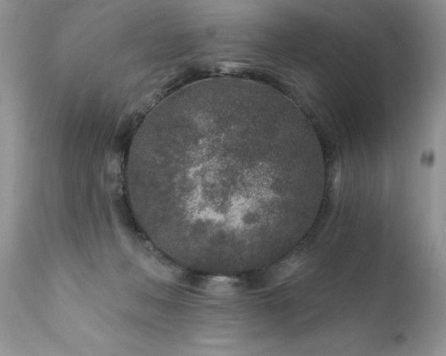 X0000111790222200907301153