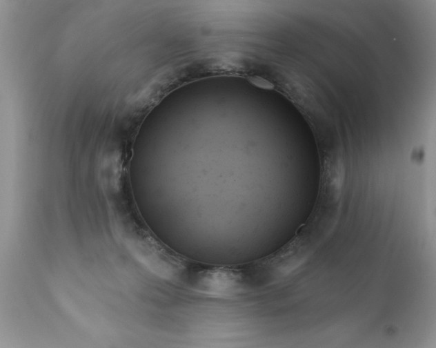 X0000111790223200907301153