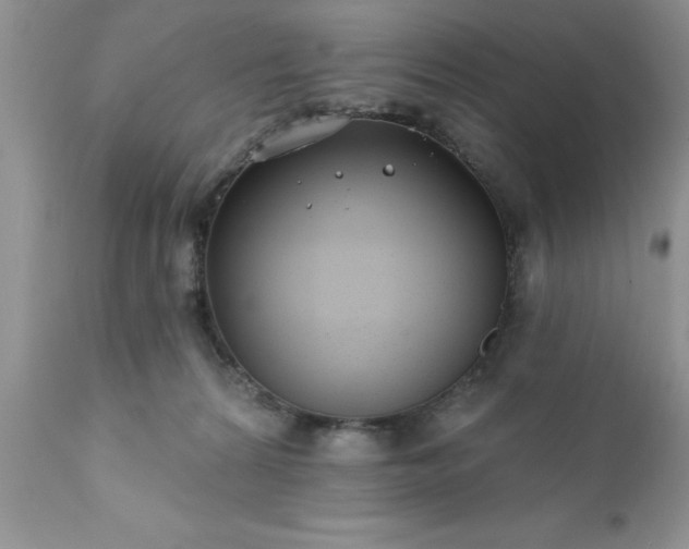 X0000111790224200907301153