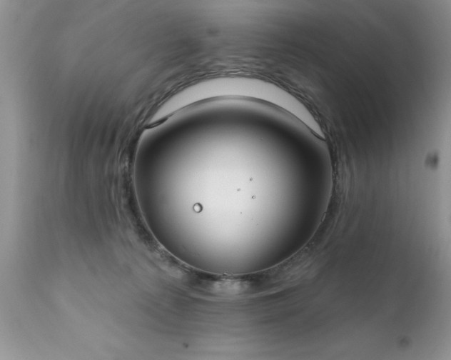 X0000111790225200907301153