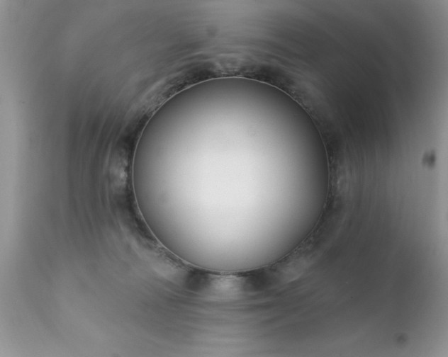 X0000111790226200907301153